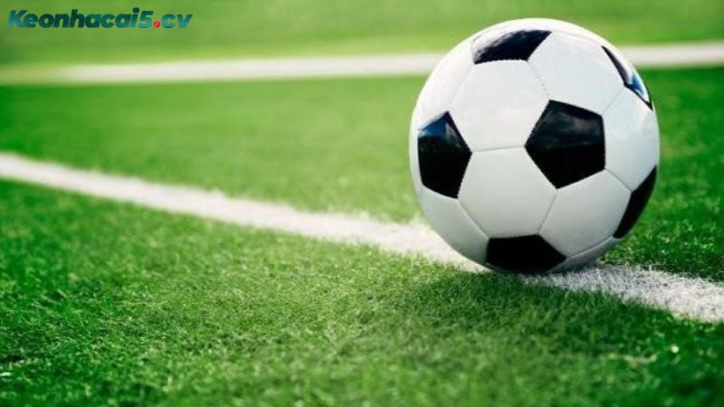 Chia sẻ kinh nghiệm soi kèo rung từ cược thủ lâu năm