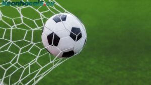 Hướng dẫn đọc tín hiệu trận đấu để bắt kèo rung hiệu quả