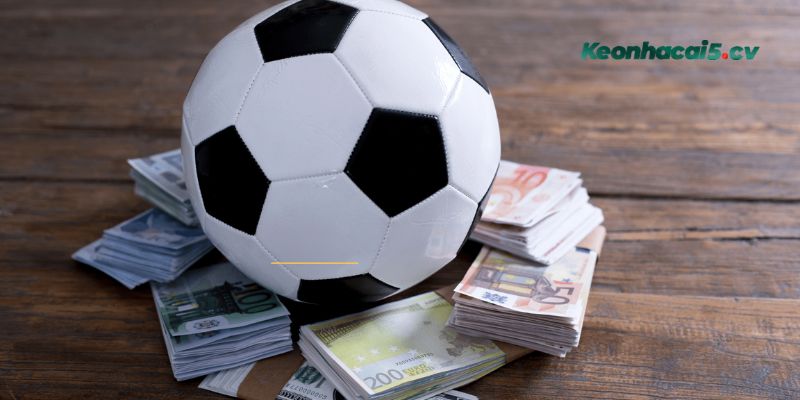 Cách phân biệt kèo Indonesia cực dễ cho tân thủ