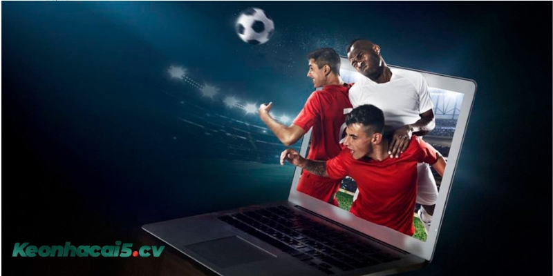 Cách soi kèo 1/2 bóng đá