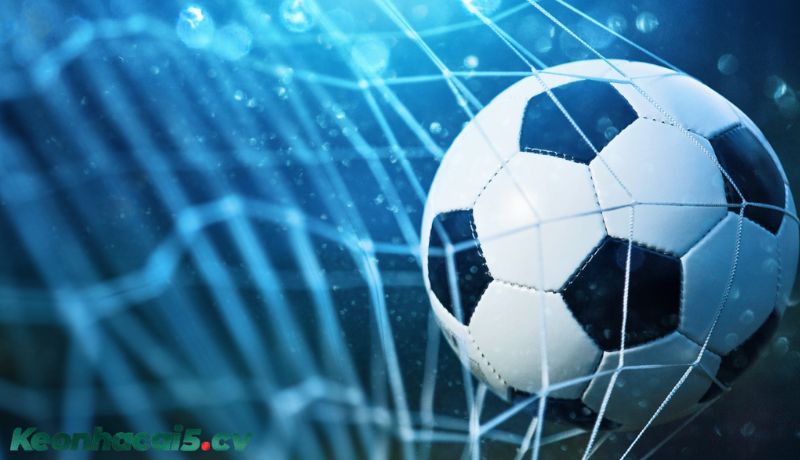 Cấu trúc cơ bản của một bảng kèo trực tuyến