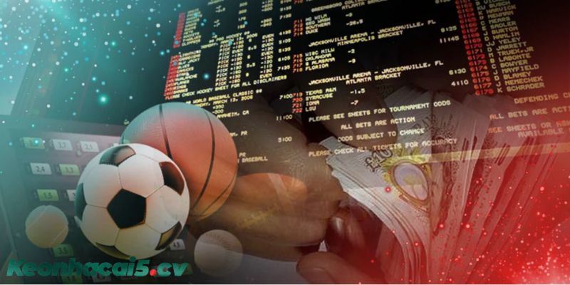 Những lưu ý quan trọng cho người chơi mới đọc kèo